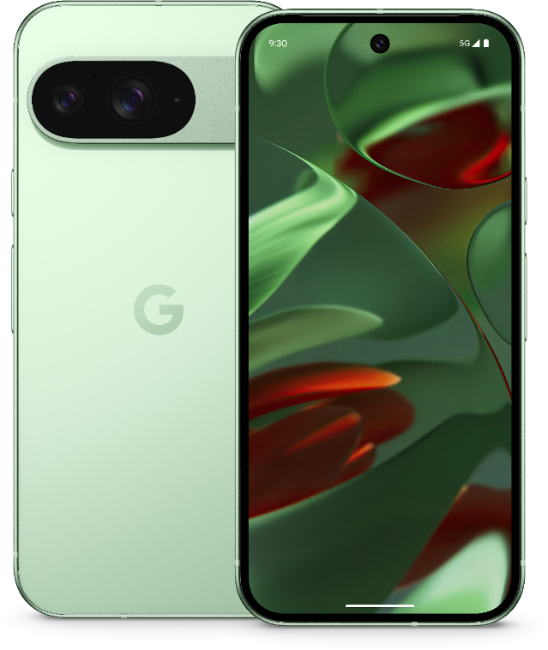 Google Pixel 9 Wintergreen...